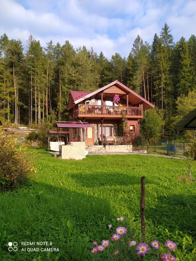Villa Лісова Казка Jaremtsche Exterior foto