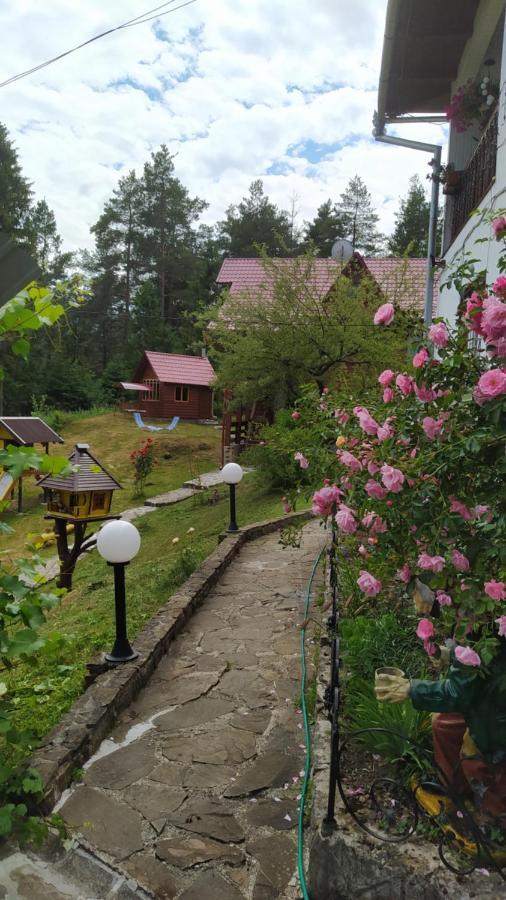Villa Лісова Казка Jaremtsche Exterior foto