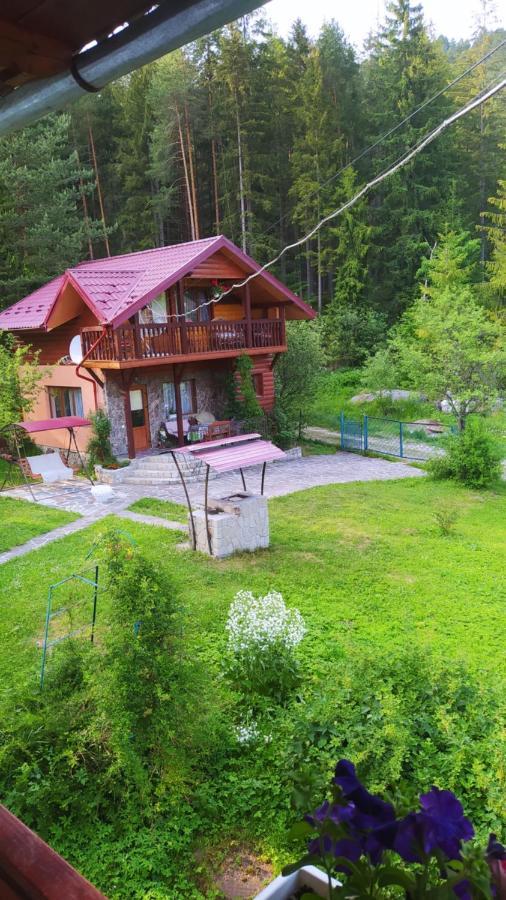Villa Лісова Казка Jaremtsche Exterior foto