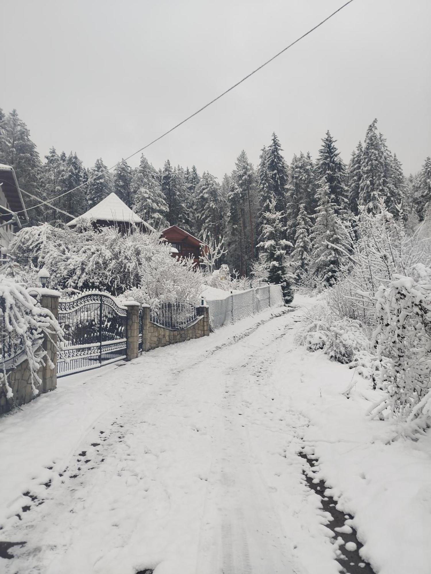 Villa Лісова Казка Jaremtsche Exterior foto